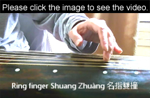 Shuang Zhuang